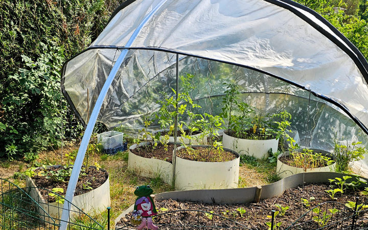 The best garden activities in 2026 for kids, teens & families