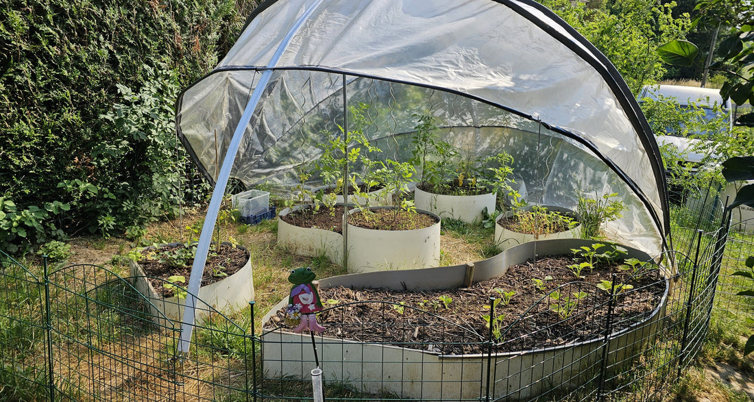 The best garden activities in 2026 for kids, teens & families