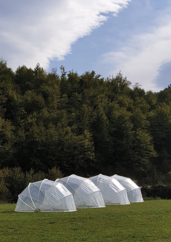 Szerezz 5 € vásárlási kreditet